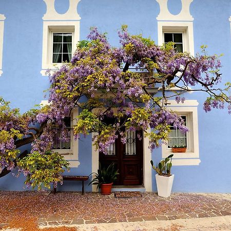 The Blue House Hotel โทลมิน ภายนอก รูปภาพ